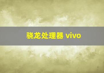 骁龙处理器 vivo